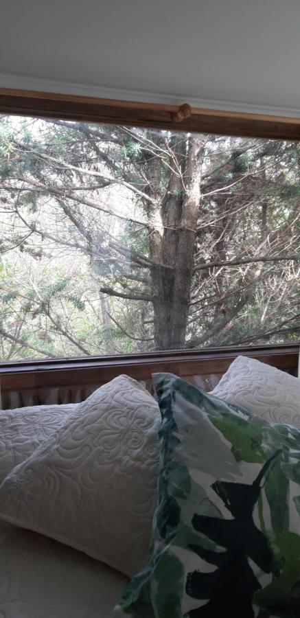 Eco Cabana Puerto Varas Extérieur photo