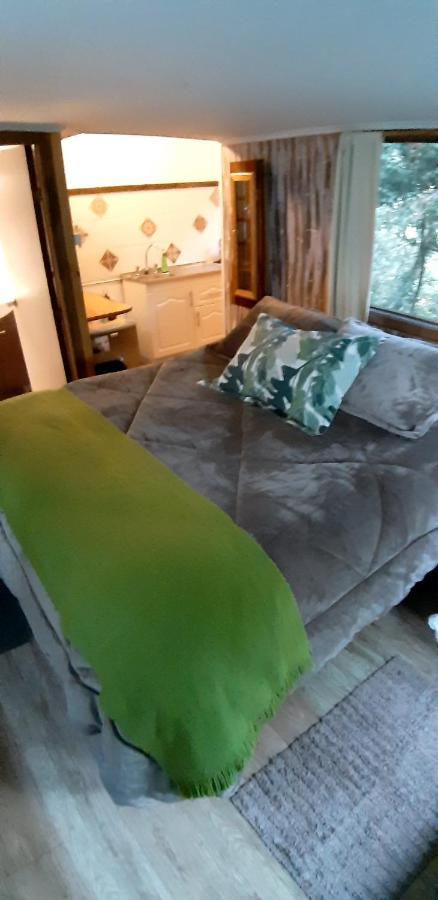 Eco Cabana Puerto Varas Extérieur photo