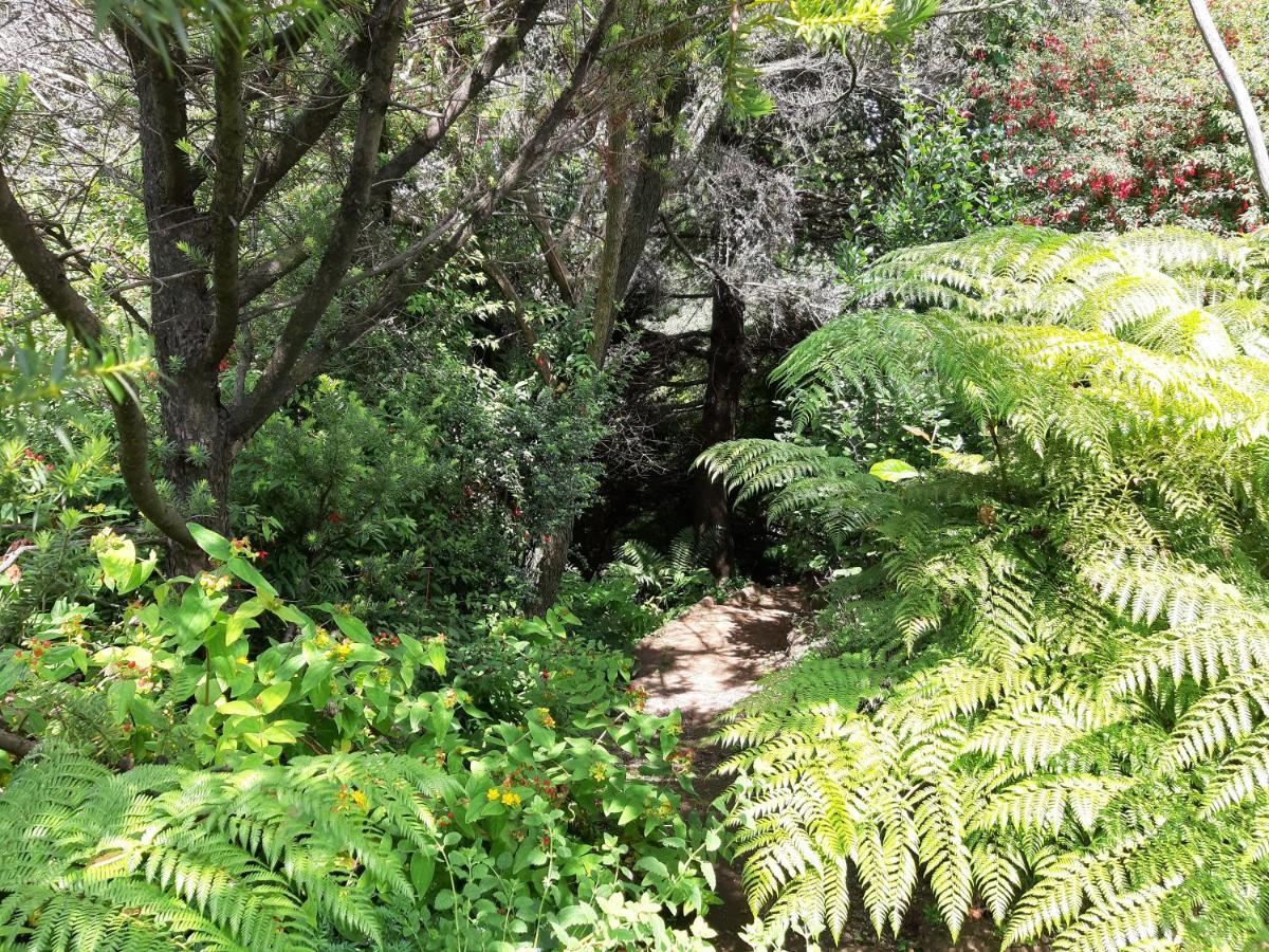 Eco Cabana Puerto Varas Extérieur photo